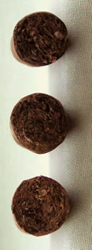 Robusto Varies Selection